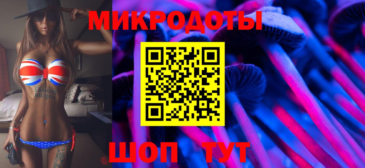 Галлюциногенные грибы мицелий Качканар
